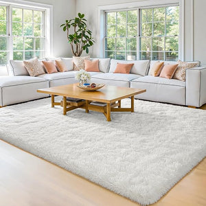 Carpet & Rugs